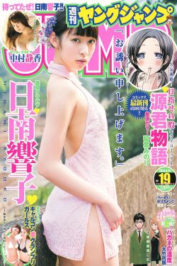 电视剧银狐