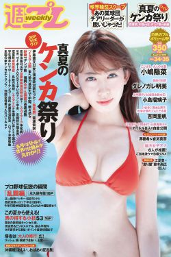 黑道家族第五季