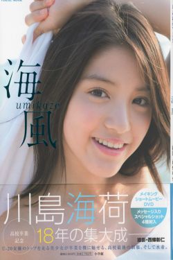法证先锋6电视剧免费观看